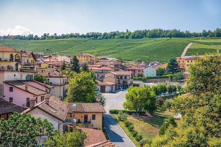 Barolo Wine Route Drive from Alba with Boutique Cellar Visit and 4-5 Wine Tasting (7/7)