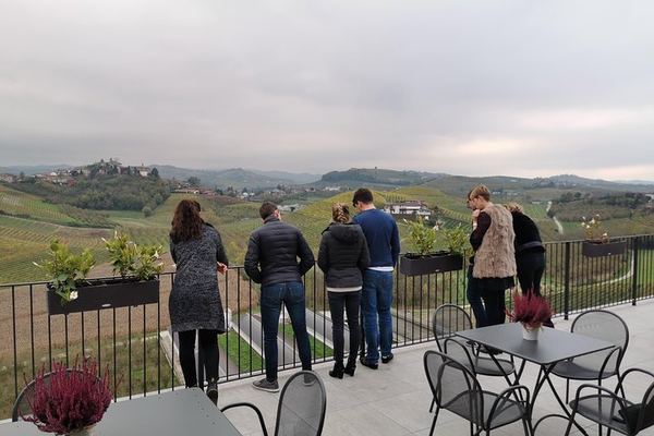 Barolo and Barbaresco Wine Tour with a Langhe Winemaker, Vineyards and Cellar Tastings