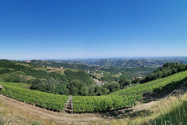 Barolo and Barbaresco Wine Tour with a Langhe Winemaker, Vineyards and Cellar Tastings (6/8)