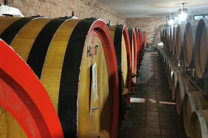 Barolo and Barbaresco Wine Tour with a Langhe Winemaker, Vineyards and Cellar Tastings (1/8)