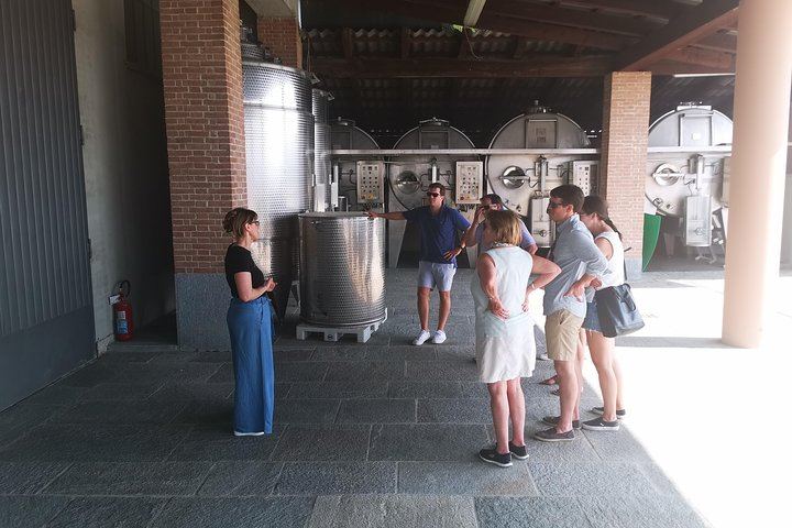 Barolo and Barbaresco Wine Tour with a Langhe Winemaker, Vineyards and Cellar Tastings (5/8)