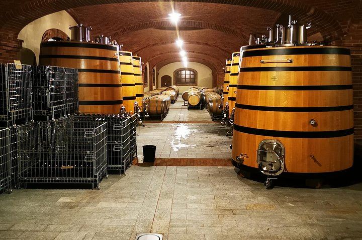 Barolo and Barbaresco Wine Tour with a Langhe Winemaker, Vineyards and Cellar Tastings (4/8)