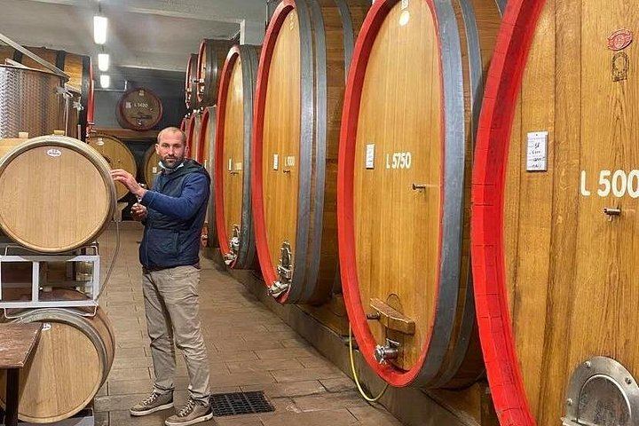 Barolo and Barbaresco Day from Turin with a Langhe-Born Winemaker, Two Family Wineries (1/7)