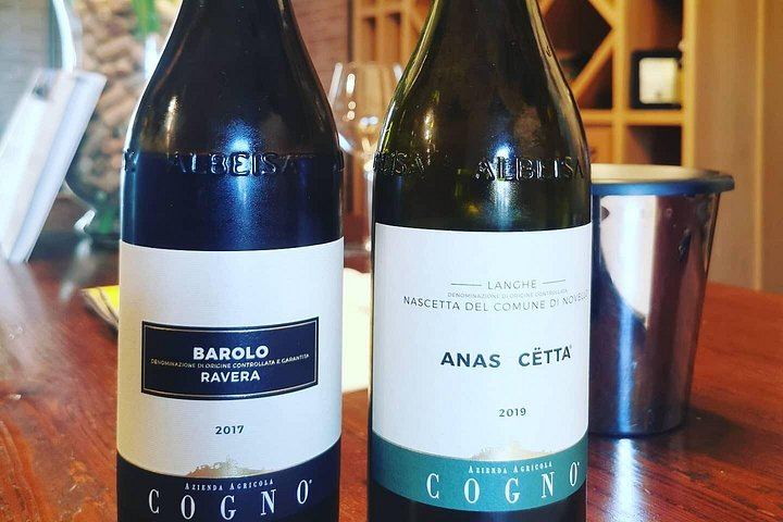 Barolo and Barbaresco Day from Turin with a Langhe-Born Winemaker, Two Family Wineries (3/7)