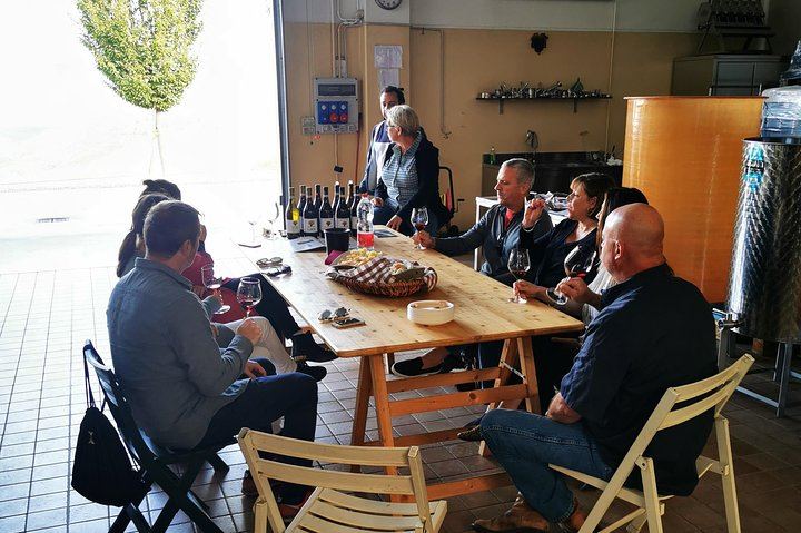 Barolo and Barbaresco Wine Tour with a Langhe Winemaker, Vineyards and Cellar Tastings (3/8)