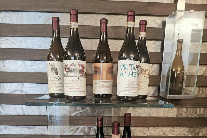 Barolo and Barbaresco Day from Turin with a Langhe-Born Winemaker, Two Family Wineries (7/7)