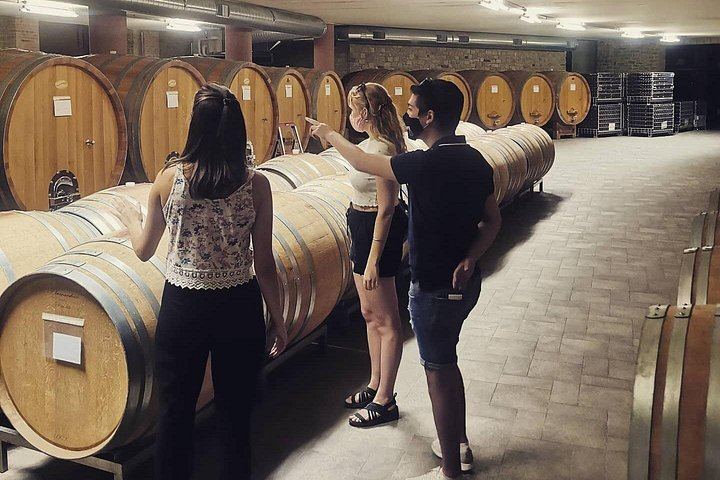 Barolo and Barbaresco Day from Turin with a Langhe-Born Winemaker, Two Family Wineries (5/7)