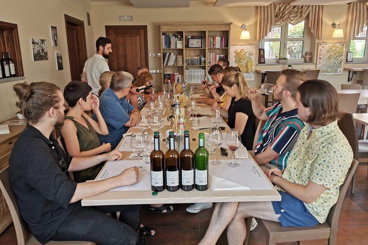Barolo and Barbaresco Wine Tour with a Langhe Winemaker, Vineyards and Cellar Tastings (7/8)