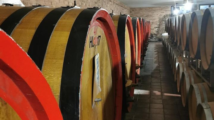 Barolo and Barbaresco Wine Tour with a Langhe Winemaker, Vineyards and Cellar Tastings (1/8)