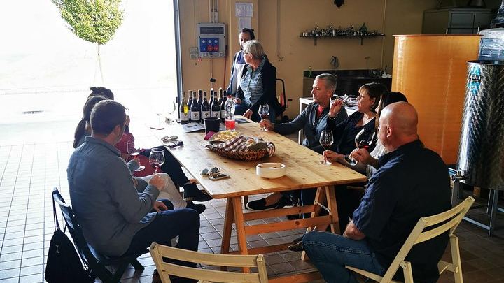 Barolo and Barbaresco Wine Tour with a Langhe Winemaker, Vineyards and Cellar Tastings (3/8)