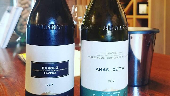 Barolo and Barbaresco Day from Turin with a Langhe-Born Winemaker, Two Family Wineries (3/7)