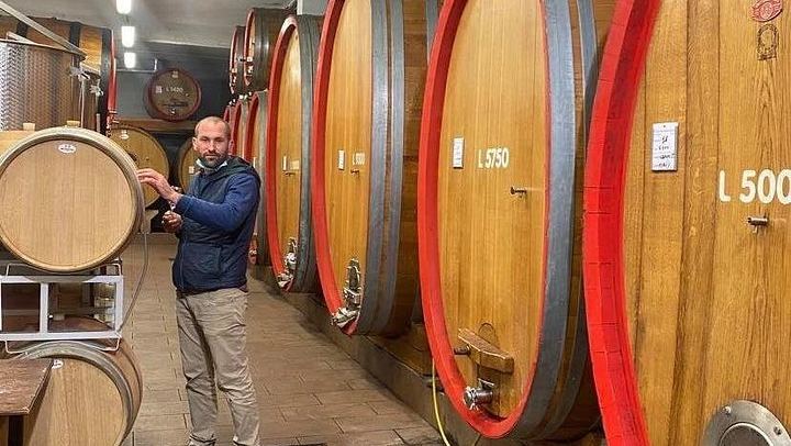 Barolo and Barbaresco Day from Turin with a Langhe-Born Winemaker, Two Family Wineries (1/7)