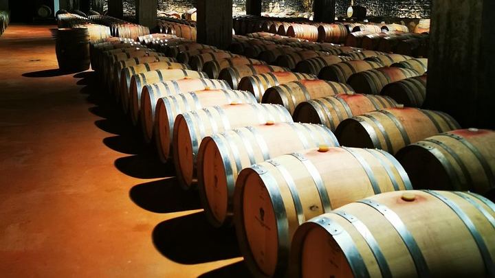 Barolo and Barbaresco Wine Tour with a Langhe Winemaker, Vineyards and Cellar Tastings (2/8)