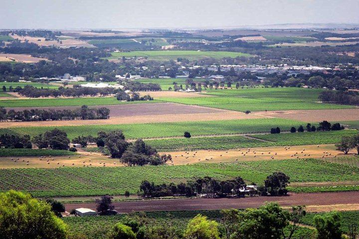 Barossa Valley Voyager Small Group Tour, Maximum 8 Guests, from Adelaide (8/9)