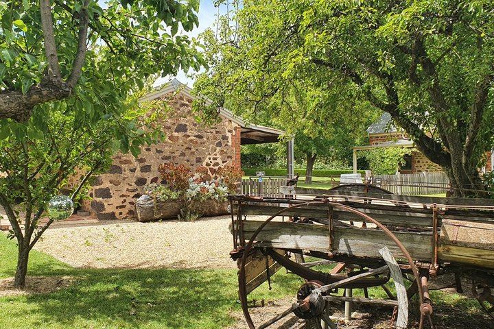 Barossa Valley Shared Day Tour from Adelaide with Langmeil, Rockford and Lunch (12/12)