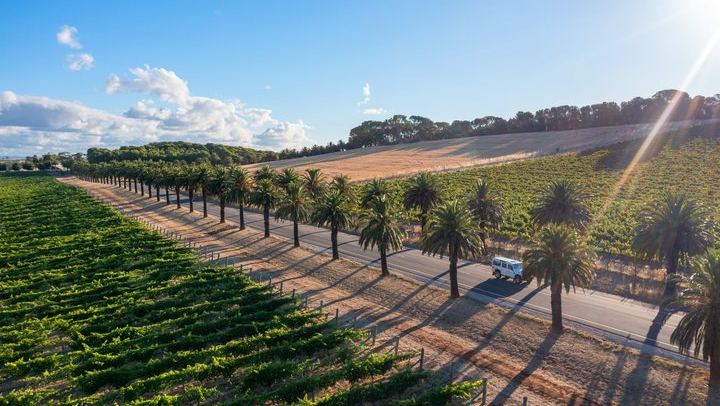 Barossa Valley Premium Wine Tour for Max 6 Guests with Restaurant Lunch (2/6)