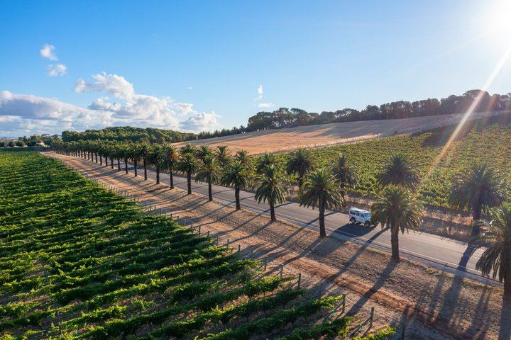 Barossa Valley Premium Wine Tour for Max 6 Guests with Restaurant Lunch (2/6)