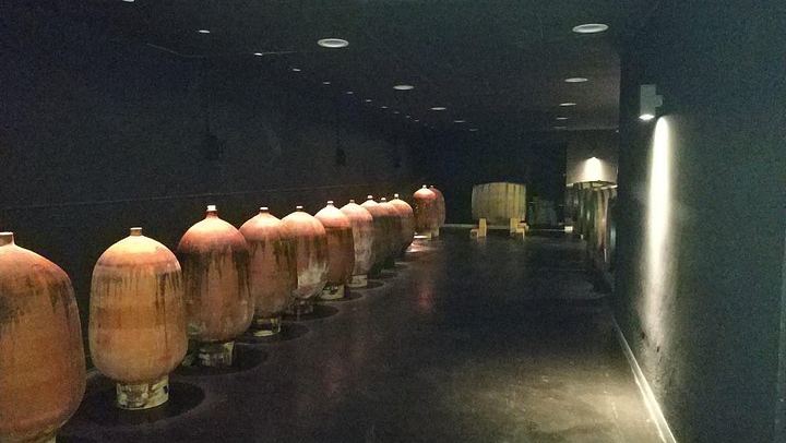 Private Penedès Wine and Cava Tasting Tour from Barcelona with Hotel Pickup (2/10)
