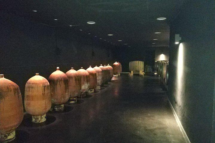 Private Penedès Wine and Cava Tasting Tour from Barcelona with Hotel Pickup (2/10)