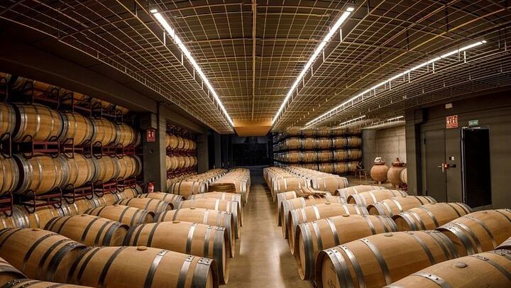 Badarán Family Winery Visit with Four-Wine Tasting and Riojan Appetizer (3/8)