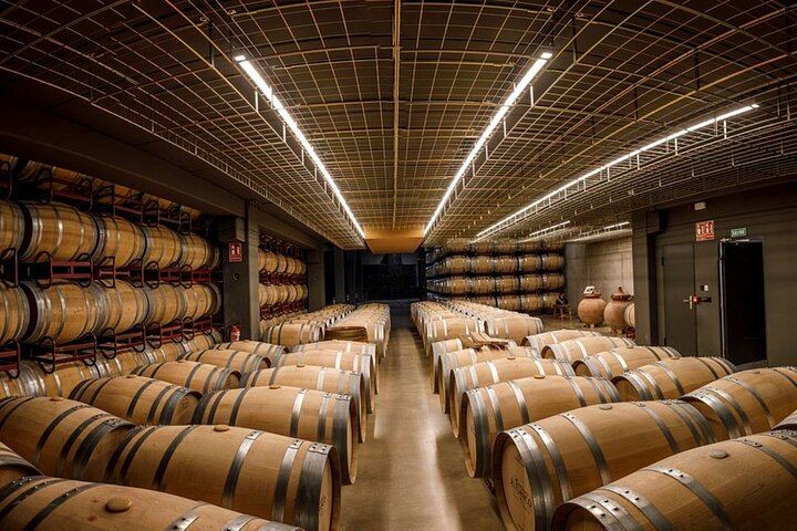 Badarán Family Winery Visit with Four-Wine Tasting and Riojan Appetizer (3/8)