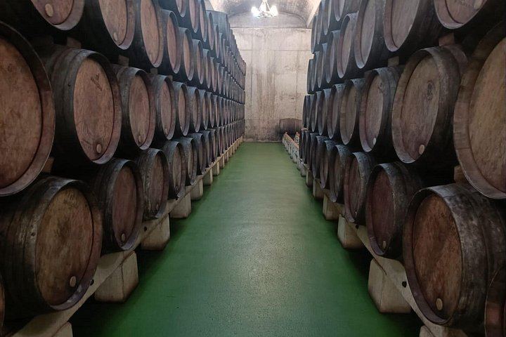 Private Rioja Wine Day from San Sebastian: Two to Three Wineries, Three-Course Lunch (11/12)