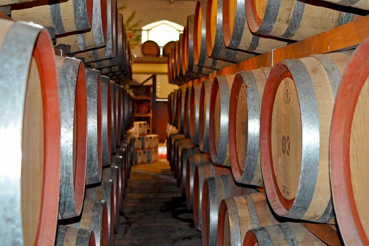 Barossa Valley Small-Group Cellar Door Day Tour with Lunch from Adelaide (5/5)