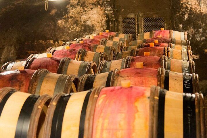 Dijon Full-Day Wine Tour: Three Tastings in the Côte de Nuits and Côte de Beaune (7/8)