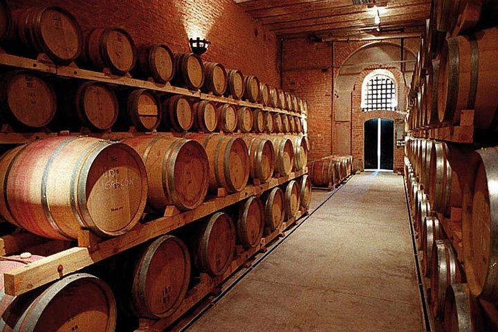 Maipú Private Wine Route: Finca Agostino, Sin Fin and an Olive Oil Boutique (5/12)