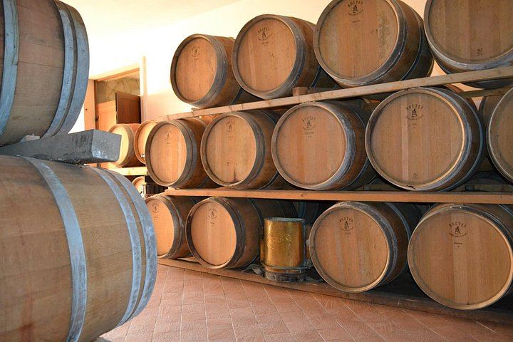 Amarone and Valpolicella Wine Tasting at the Family-Run Fratelli Vogadori Cellar, Negrar (6/12)