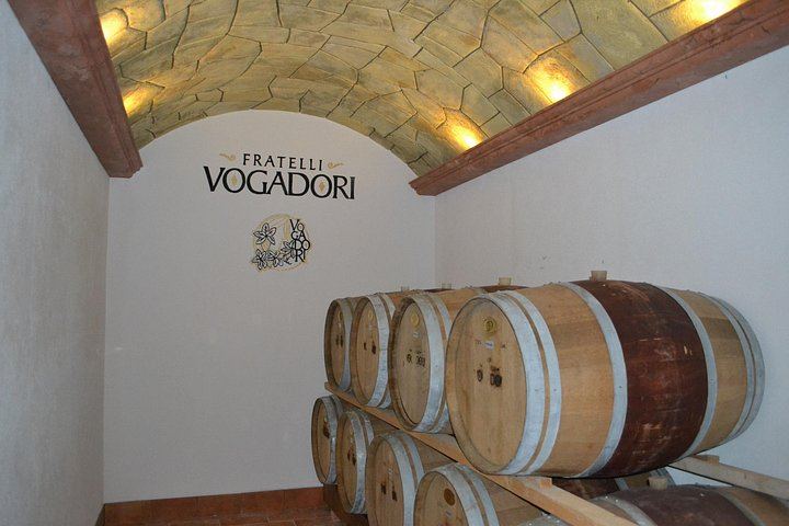 Amarone and Valpolicella Wine Tasting at the Family-Run Fratelli Vogadori Cellar, Negrar (7/12)