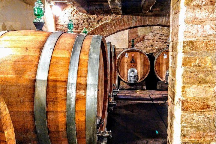 Castello Tricerchi Brunello Tasting and Tuscan Lunch in a Medieval Castle near Montalcino (1/12)