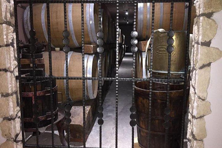 Amarone and Valpolicella Wine Tasting at the Family-Run Fratelli Vogadori Cellar, Negrar (5/12)