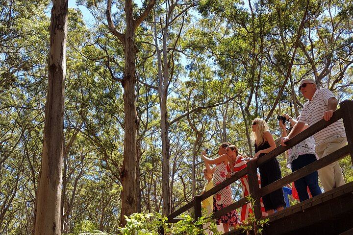 Margaret River Small-Group Tour: Coffee Roastery, Two Boutique Wineries, Boranup Forest (5/12)
