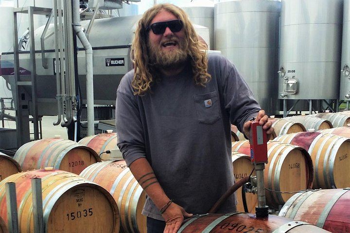 Full-Day Marlborough Winemakers Tour: 4-6 Family-Owned Cellar Doors, Local Guide (8/9)