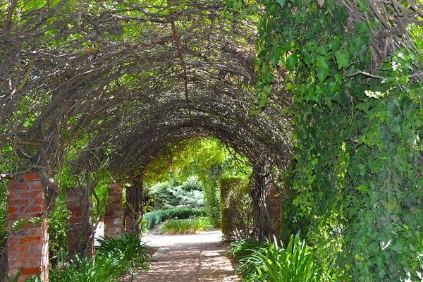 Barossa Valley Small-Group Cellar Door Day Tour with Lunch from Adelaide