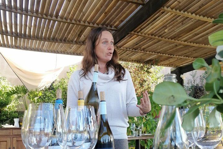 Private Organic Wine Tour in Casablanca Valley with Boutique Wineries and Lunch (5/12)