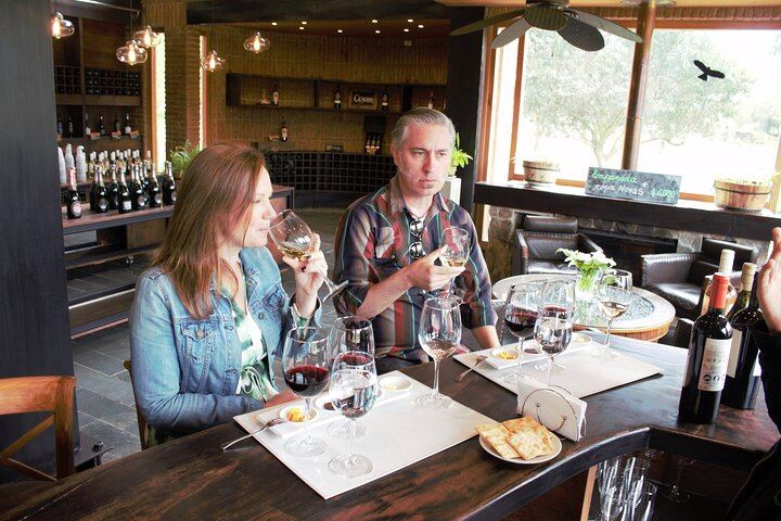 Private Organic Wine Tour in Casablanca Valley with Boutique Wineries and Lunch (7/12)