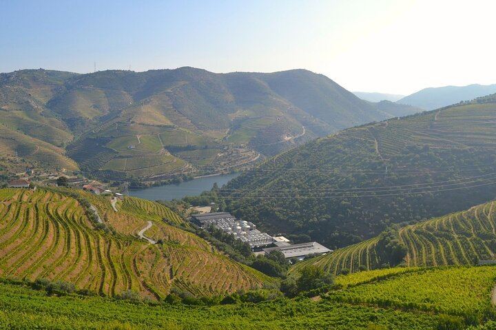 Douro Three-Winery Small-Group Tour from Porto: Régua, Lunch and Sabrosa Tasting (8/12)