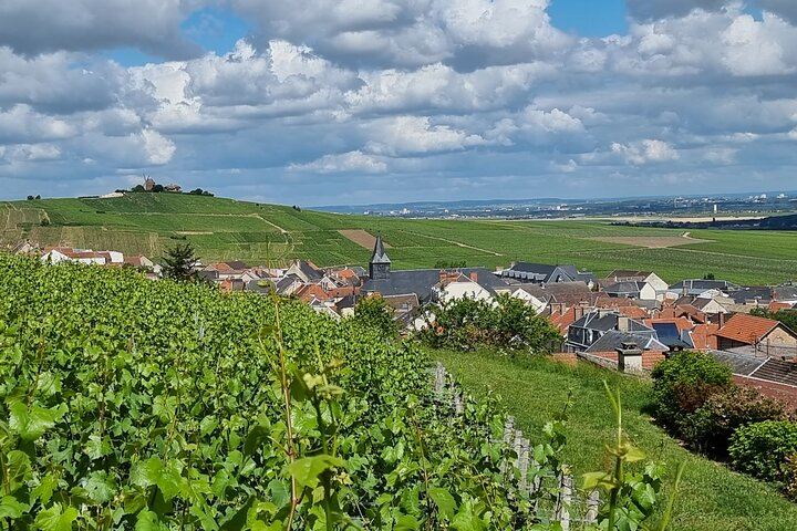 Private Champagne Day Trip from Paris, Licensed Guide: Two Houses and a Small Producer (10/12)