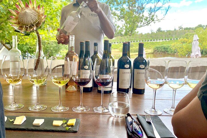 Private Stellenbosch Wine Tour for 2-4 Guests: Muratie, L'Avenir, Dornier, Waterford (3/7)