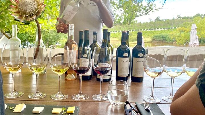 Private Stellenbosch Wine Tour for 2-4 Guests: Muratie, L'Avenir, Dornier, Waterford (3/7)