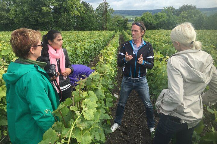 Personalised Champagne Day Trip from Paris with an Owner-Guide, Starbucks Odeon Departure (8/10)