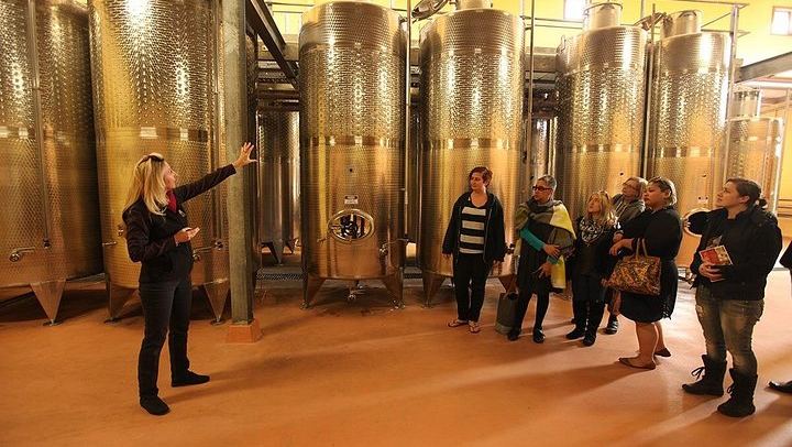 Small-Group Hunter Valley Wine and Cheese Day Tour from Sydney, Pokolbin Boutique Wineries (4/12)