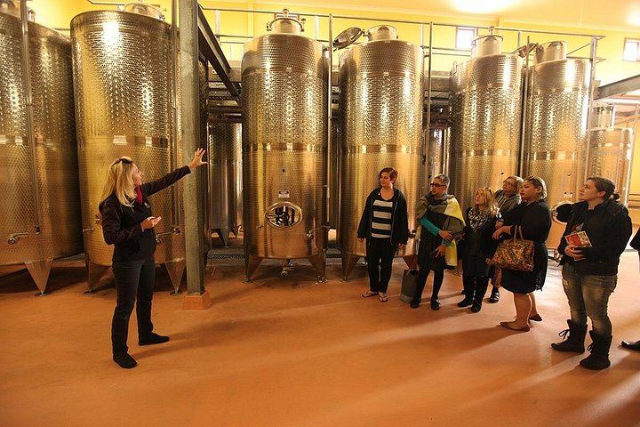 Small-Group Hunter Valley Wine and Cheese Day Tour from Sydney, Pokolbin Boutique Wineries (4/12)