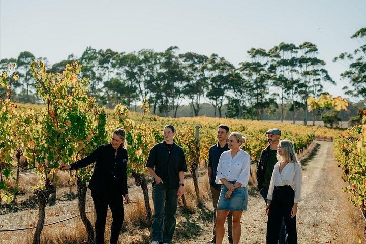 Cape Mentelle Behind the Scenes Tour with Six-Wine Food Pairing, 120 Minutes, Adults Only (2/10)