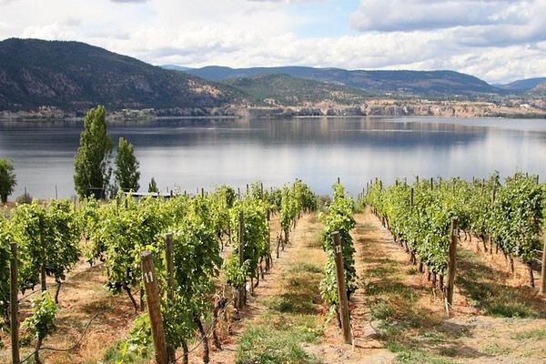 Naramata Bench Private Full-Day Wine Tour with Five Winery Stops