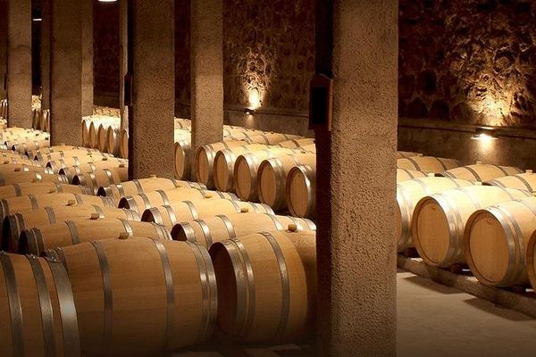 Luján de Cuyo Wine Tasting: Benegas, Ruca Malen and Norton's Paired Lunch