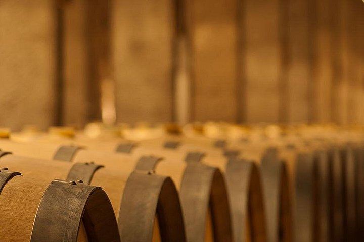 Luján de Cuyo Wine Tasting: Benegas, Ruca Malen and Norton's Paired Lunch (5/12)