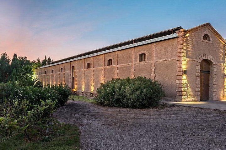 Luján de Cuyo Wine Tasting: Benegas, Ruca Malen and Norton's Paired Lunch (7/12)